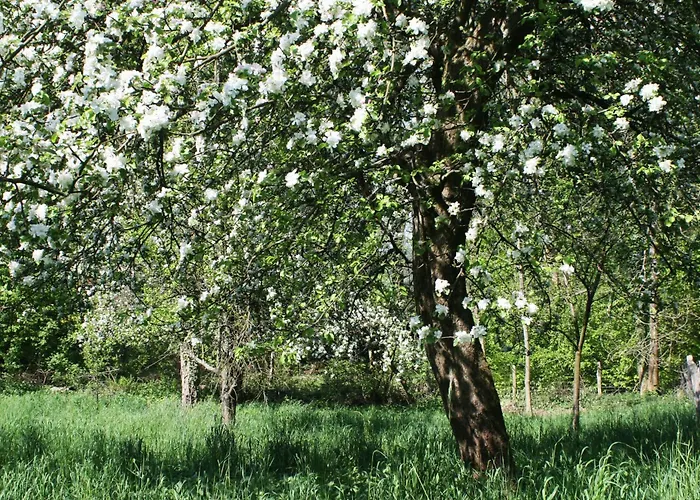 Appartement Am Obstgarten Gummersbach